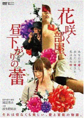 仙逆动漫情感线分析王林李慕婉